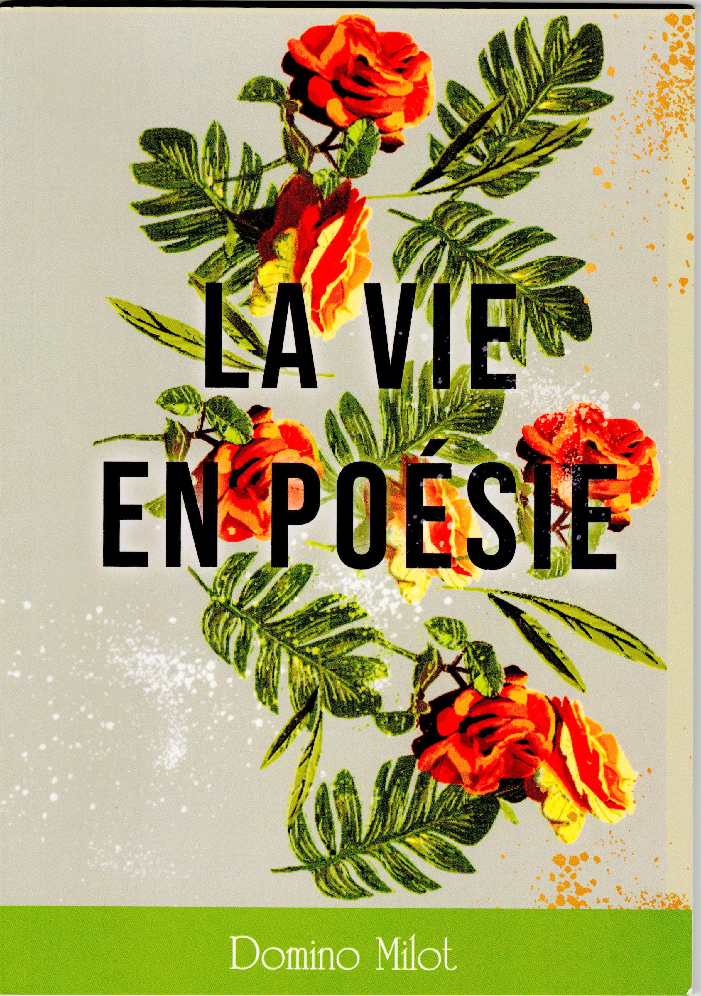 Couverture du Livre